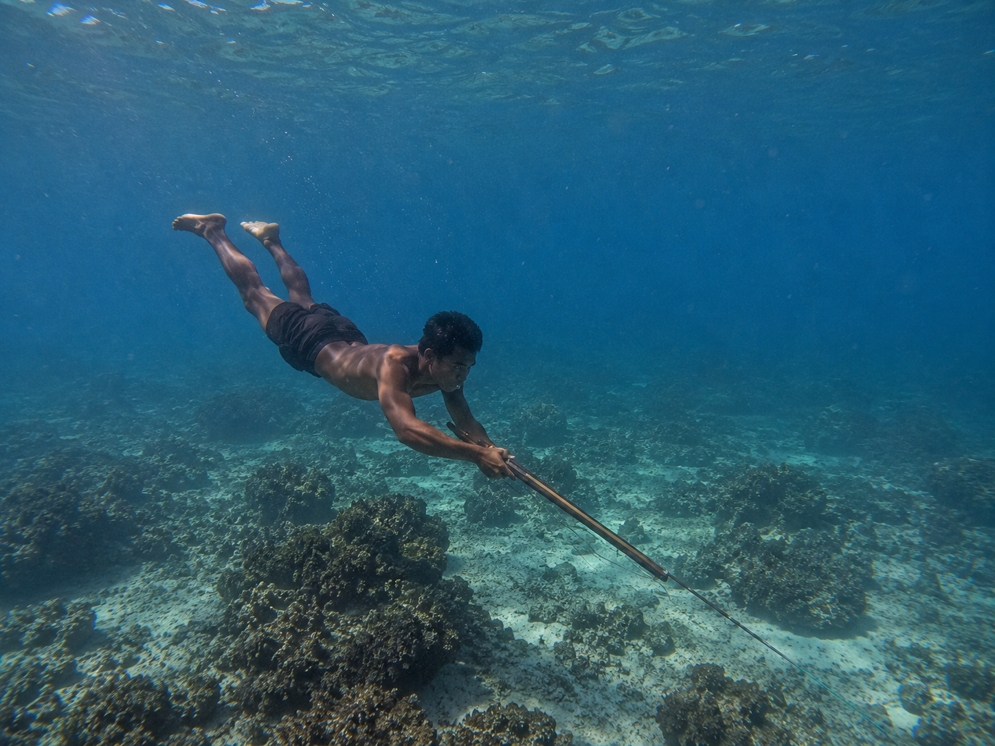 Spearfishing Experience
